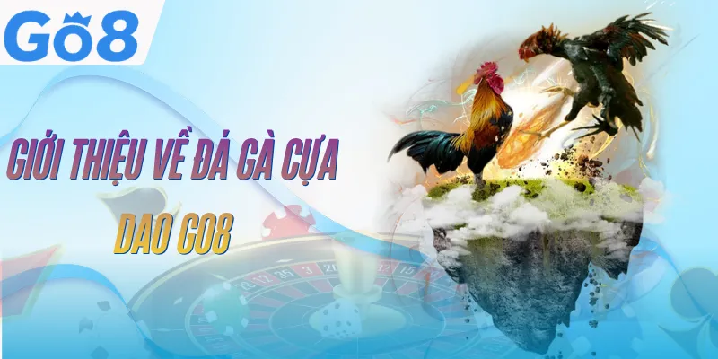 da-ga-cua-dao-go8-tong-quan