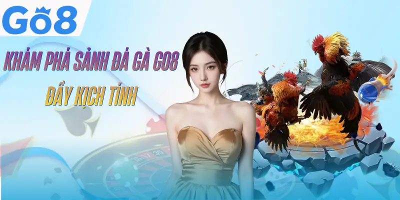 da-ga-go8-gioi-thieu
