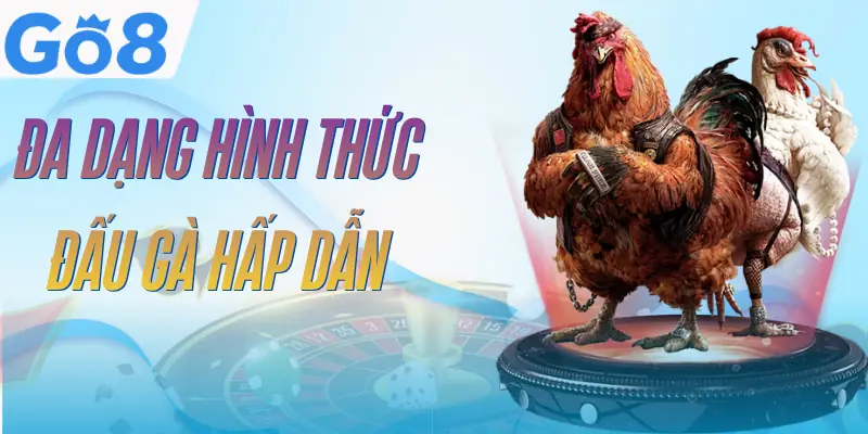 da-ga-go8-hinh-thuc