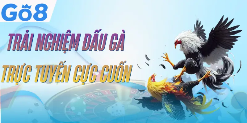 da-ga-go8-uu-diem
