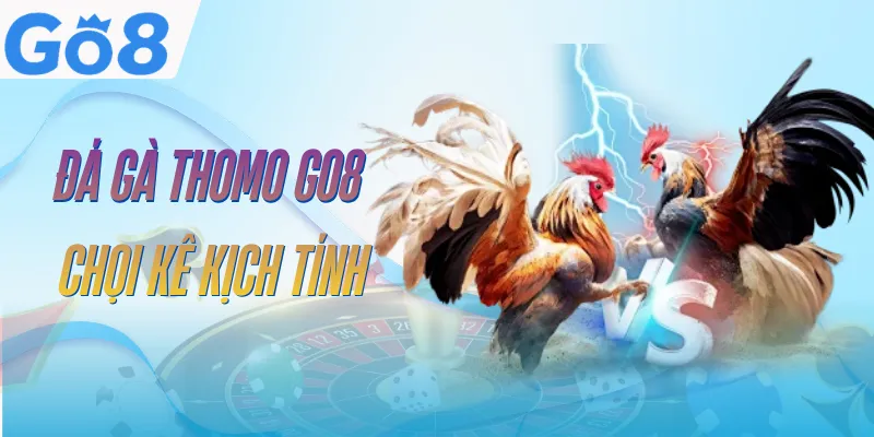 Đá Gà Thomo GO8 | Sân Chơi Chọi Kê Kịch Tính Top 1 1 da-ga-thomo-go8